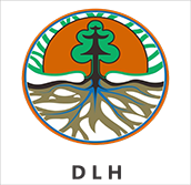dlh.png